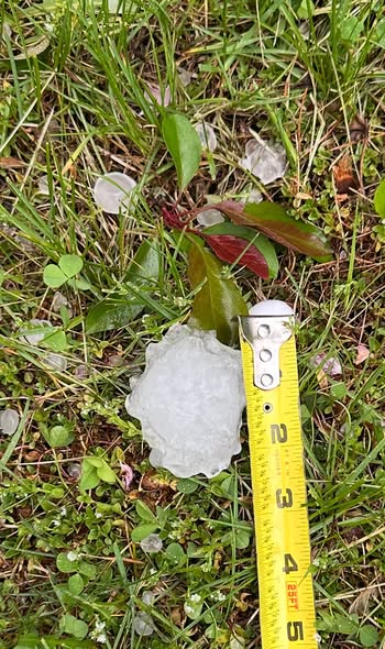 Facebook Post Image
